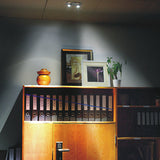 9041 the eye LED focus lighting fixture for office leisure area lighting