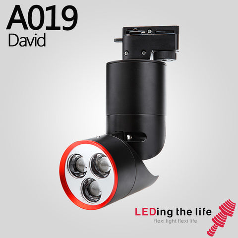 A019 David LED track focus spotlight