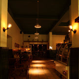 A010d Moon light (dimmable),E27/GU10 LED focus spotlight