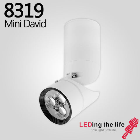 8319 Mini David Surface Mounted LED Focus Spotlight